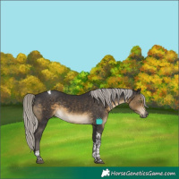 Horse Color:Silver Smoky Black Tobiano 