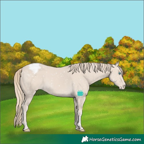 Horse Color:Smoky Creme Tobiano Appaloosa 
