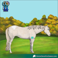 Horse Color:Smoky Creme Tobiano Appaloosa