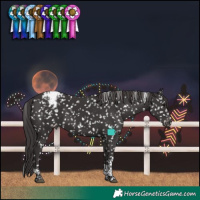 Horse Color:Smoky Black Tobiano Snowcap