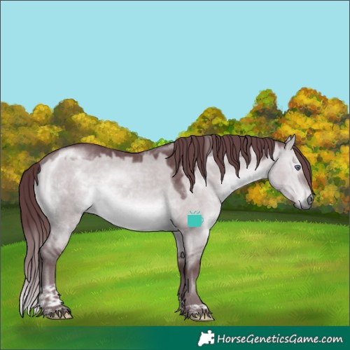 Horse Color:Chocolate Brown Chinchilla Dun Tobiano 