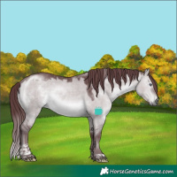 Horse Color:Chocolate Brown Chinchilla Dun Tobiano