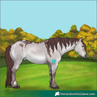 Horse Color:Chocolate Grullo Chinchilla Tobiano 