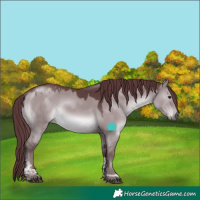 Horse Color:Chocolate Grullo Chinchilla Tobiano