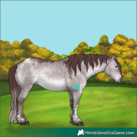 Horse Color:Chocolate Brown Chinchilla Dun Tobiano