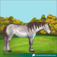 Horse Color:Chocolate Brown Chinchilla Dun Tobiano