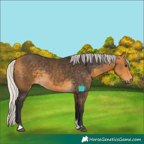 Horse Color:Silver Buckskin Sabino Rabicano 