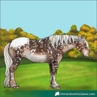 Horse Color:White Spotted Liver Chestnut Mushroom Sabino Snowcap