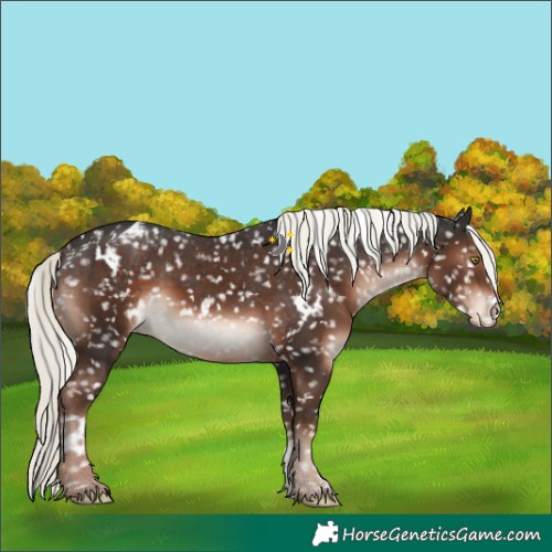 Horse Color:White Spotted Liver Chestnut Mushroom Sabino Blanket 