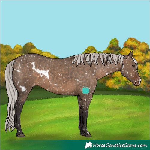 Horse Color:White Spotted Silver Brown Dun Appaloosa Rabicano Brindle 