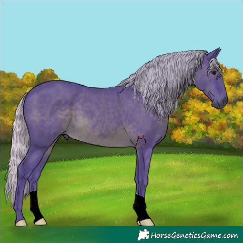 Horse Color:Gray Watercolor Silver Black 