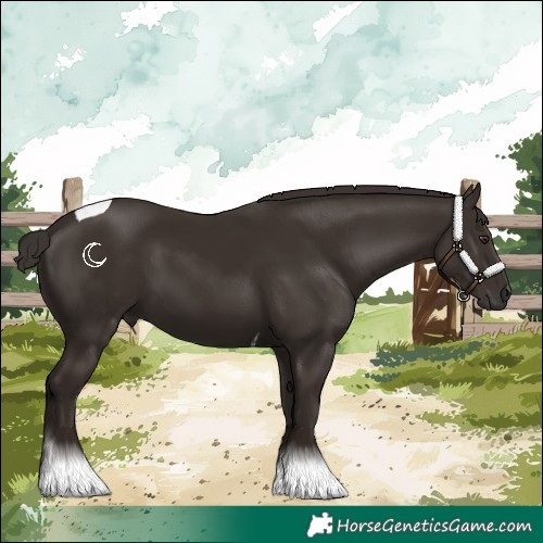 Horse Color:Liver Chestnut Tobiano 