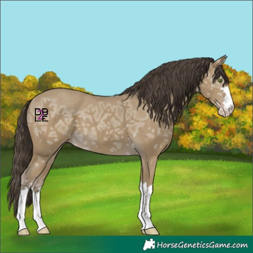 Horse Color:Classic Cream Champagne Ice 