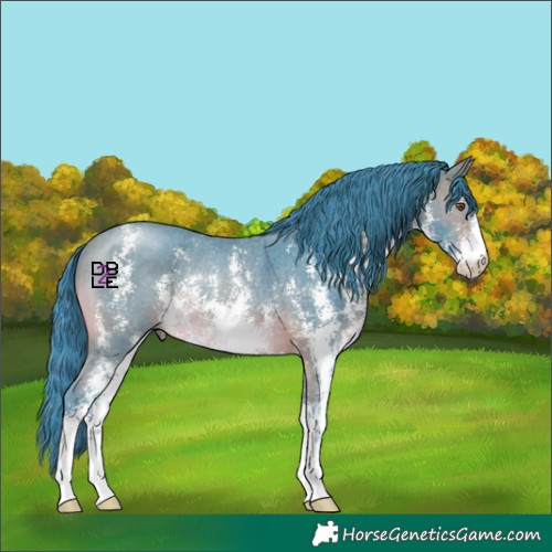 Horse Color:Watercolor Brown Sabino Rabicano 