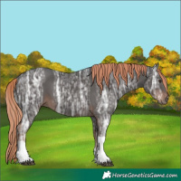 Horse Color:Liver Chestnut Ice Tobiano 