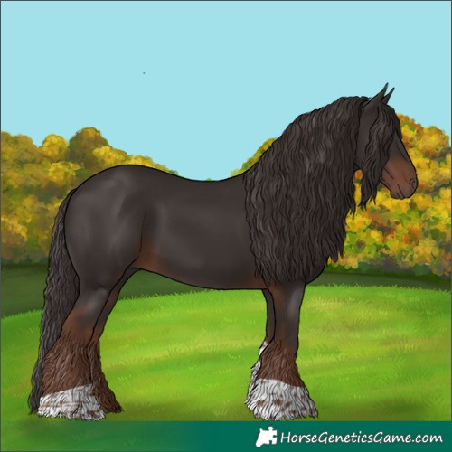 Horse Color:Liver Chestnut Tobiano