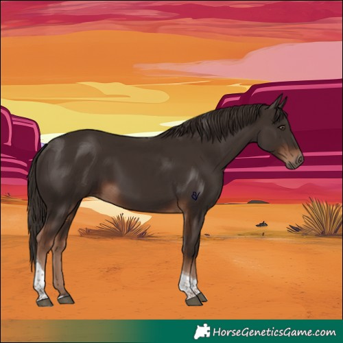 Horse Color:Liver Chestnut Tobiano 