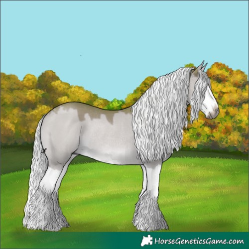 Horse Color:Gray Watercolor Liver Red Dun Mushroom Splash Rabicano 