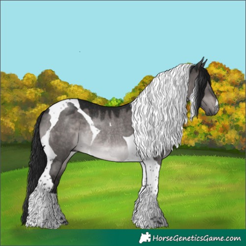 Horse Color:Gray Platinum Brown Dun Tobiano Rabicano 