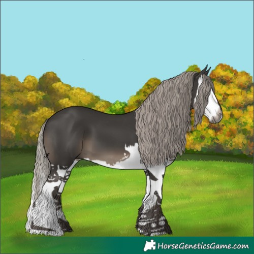 Horse Color:Gray Silver Black Splash 