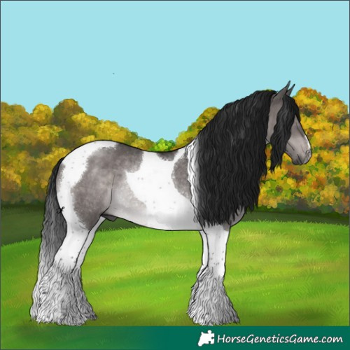 Horse Color:Gray Platinum Brown Dun Tobiano Rabicano 