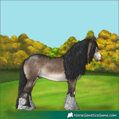 Horse Color:Brown Dun 