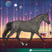 Horse Color:Grullo