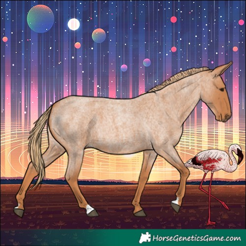 Horse Color:Red Roan 