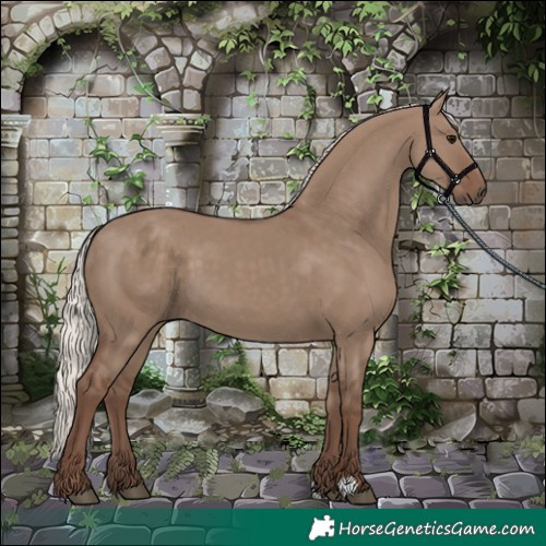 Horse Color:Silver Grullo 