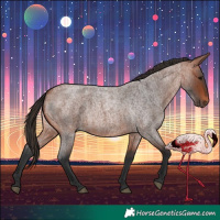 Horse Color:Bay Roan 