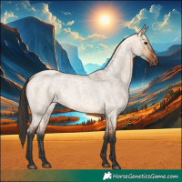 Horse Color:Bay Roan Dun
