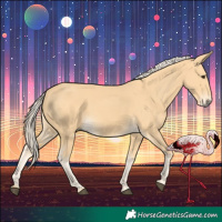 Horse Color:Palomino