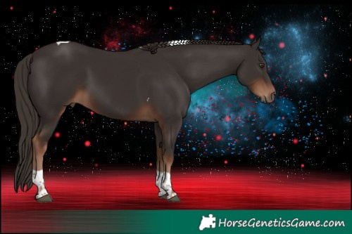 Horse Color:Liver Chestnut Tobiano 
