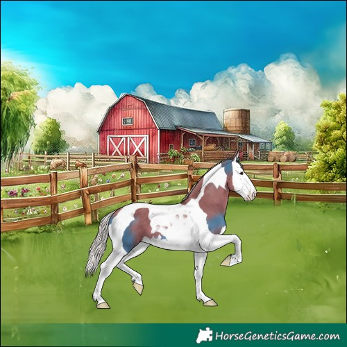 Horse Color:Silver Smoky Grullo Splash Tobiano 