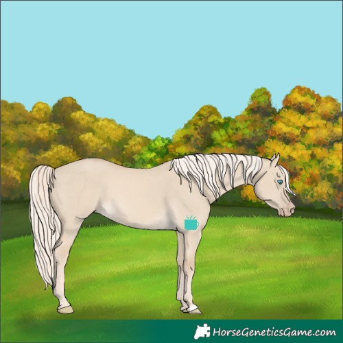 Horse Color:Cremello Dun 