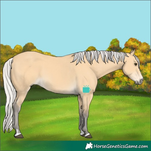 Horse Color:Silver Buckskin 