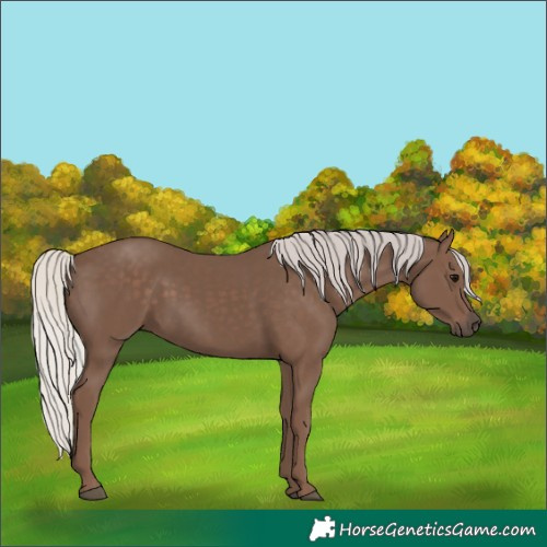 Horse Color:Silver Black 