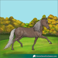 Horse Color:Silver Black 