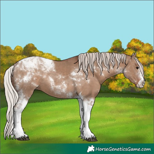 Horse Color:Silver Grullo Tobiano 