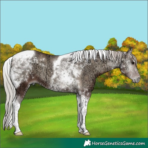 Horse Color:Silver Blue Onyx Ice Tobiano