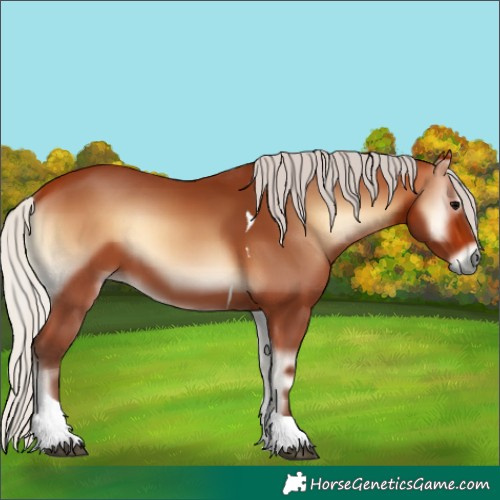 Horse Color:Silver Bay Onyx Tobiano 