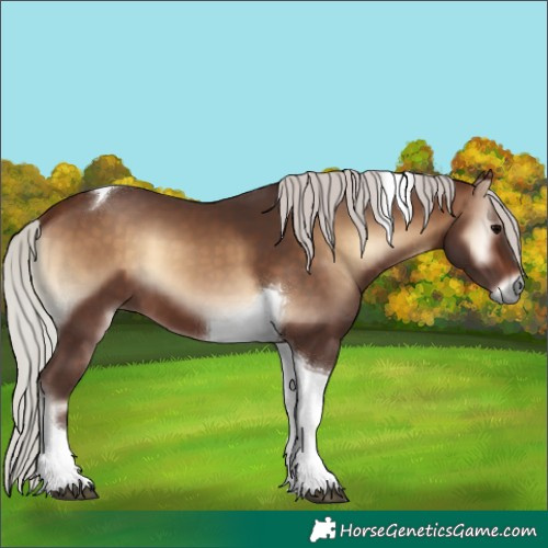 Horse Color:Silver Bay Onyx Tobiano 