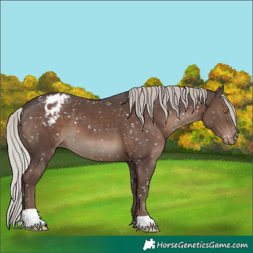 Horse Color:Silver Black Snowflake Varnish 