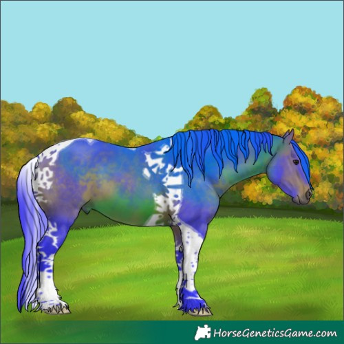 Horse Color:Watercolor Bay Tobiano 