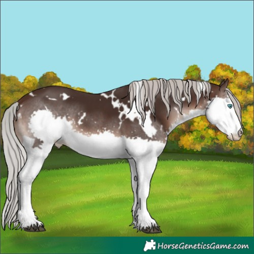 Horse Color:White Spotted Silver Brown Splash 