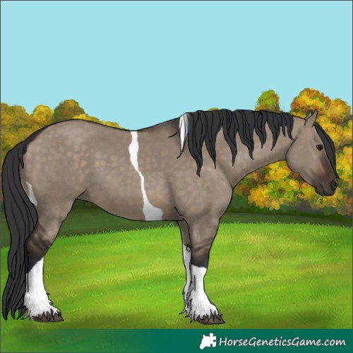 Horse Color:Brown Dun Tobiano