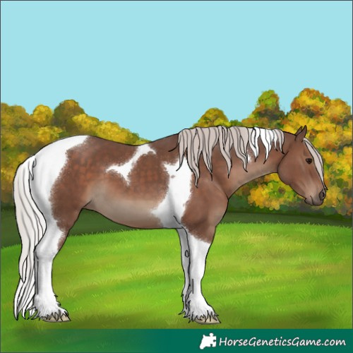 Horse Color:Silver Black Tobiano 