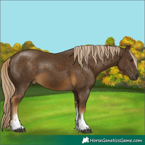 Horse Color:Chocolate Palomino Sabino Tobiano 