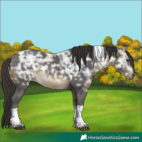 Horse Color:Buckskin Ice Tobiano 