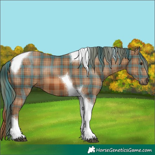 Horse Color:Plaid  Chestnut Tobiano 